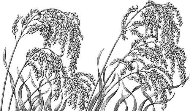 简单的几何学关系,尺寸每放大一倍面积会放大到4倍,重量会放大到8倍.