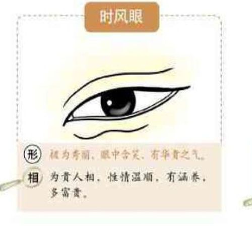 麻衣神相中眼型