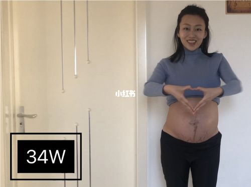 孕期肚子的变化过程_孕期_孕妈_孕后期_孕肚记录_母婴