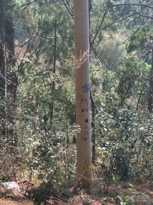 白沙水至桤木林