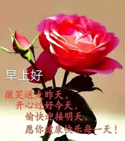 早上好?图片,我喜欢!2021年2月12日制作!