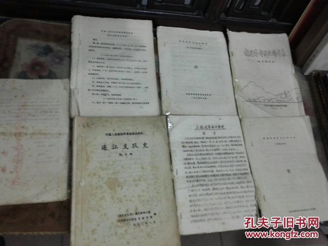 红色文化珍藏地方革命历史文献中国人民解放军粤桂湘边纵队连江支队史