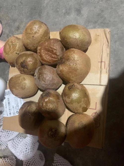 海沃德猕猴桃 【一件代发】猕猴桃奇异果绿色心现货泥猴桃应季新鲜