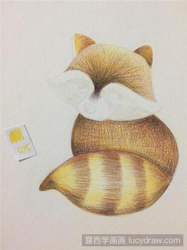 小浣熊彩铅画教程