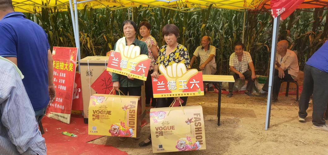 兰德玉六,2019预定篇