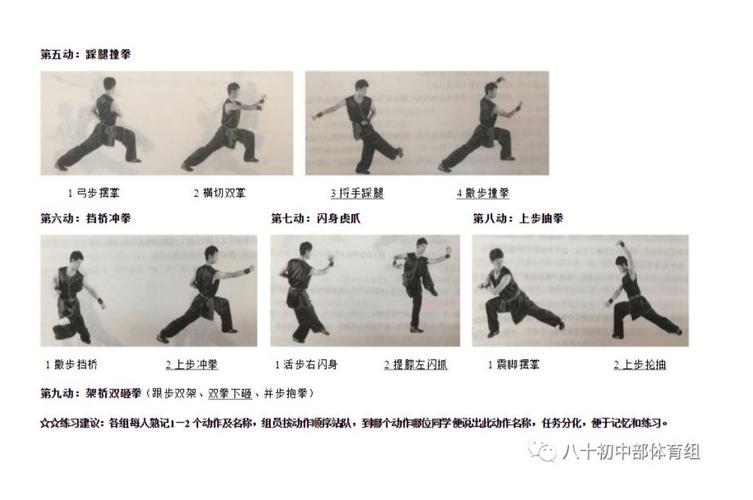 《体育与健康 》 八年级健身南拳基本手型,步法 (一)