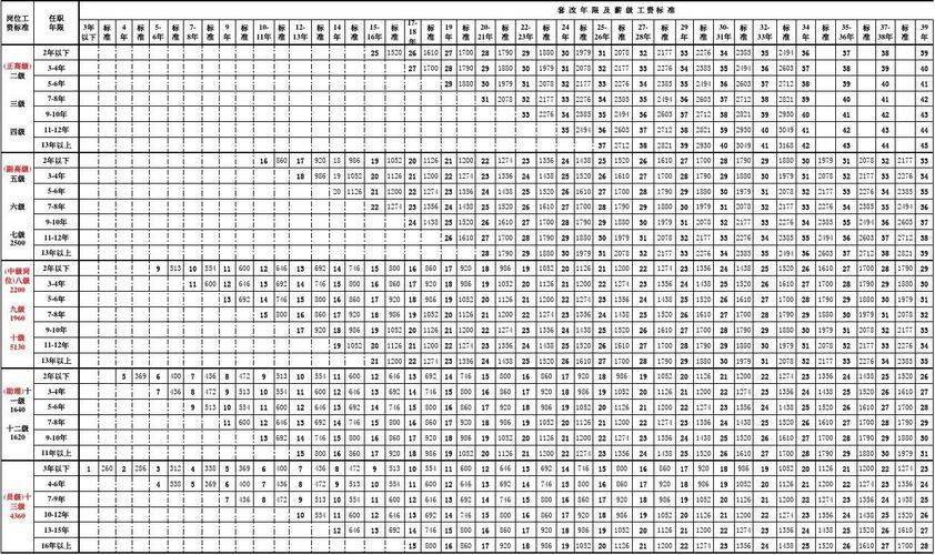 2020年最新事业单位专业技术人员薪级工资套改表-张之弘