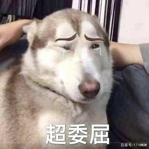 生活中,有什么突然委屈想哭的瞬间?