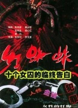 红蜘蛛 第一部(更新至20集)-全集在线观看-电视剧-爱