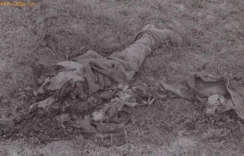 惨烈 苏德战场尸横遍野