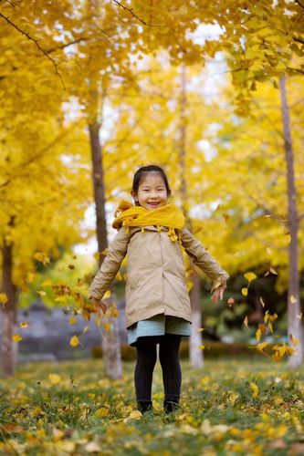 其它 外孙女的精彩瞬间 "灿灿"外孙女响亮的小名儿,她可不只是名字