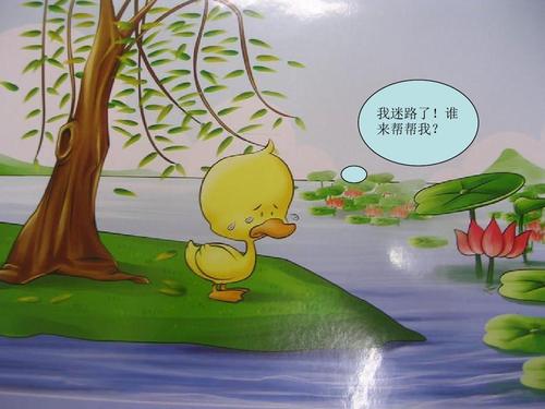 《迷路的小花鸭》ppt课件