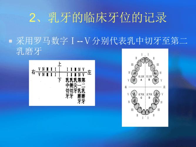 临床牙位的记录方法