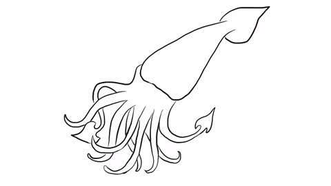 乌贼简笔画,教给孩子认识动物吧!