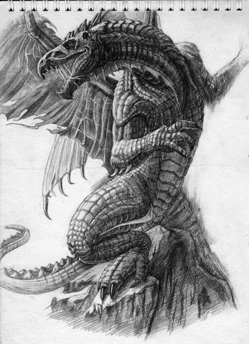 手绘练习:飞龙|插画|插画习作|丨ch9丨 - 原创作品