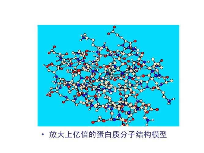 放大上亿倍的蛋白质分子结构模型