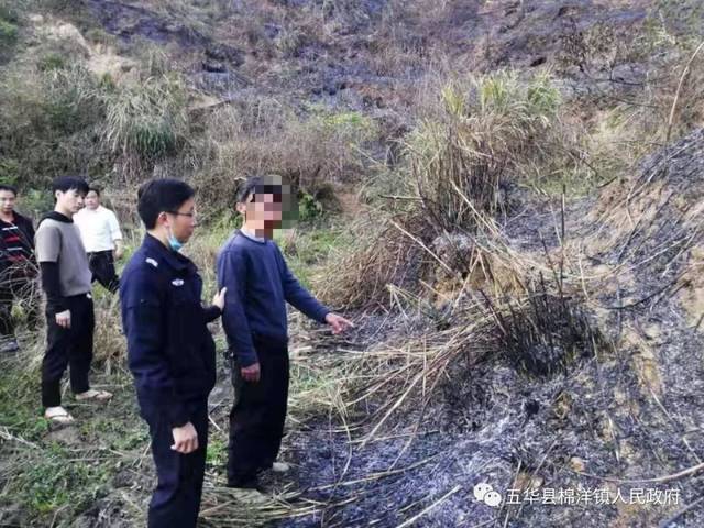 棉洋镇3名村民被处罚!