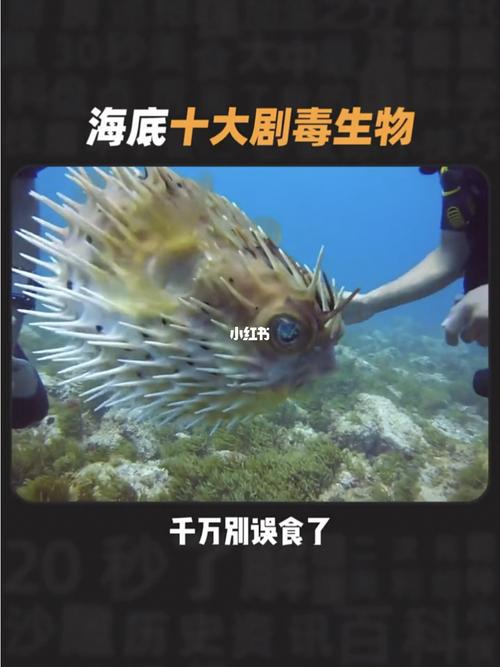 史前十大恐怖生物,恐龙在它面前好可爱?_恐龙_社科