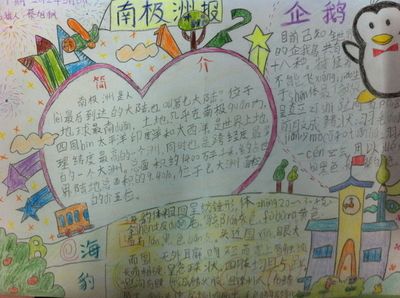 南极洲的手抄报