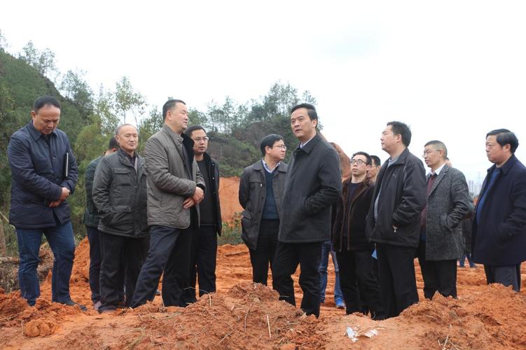 恩施州政协副主席,恩施市市委书记向前进一行到公司高旗大道项目调研