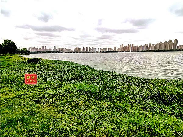 武汉墨水湖公园是市区内最亲民的大湖公园(20图)