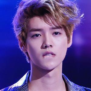 人物信息 姓名:鹿晗 [1] 韩文名: 艺名:lu han 生肖:马 性别:男 国籍