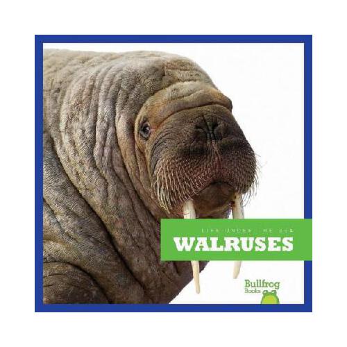【预订】walruses&nbsp;9781620310137