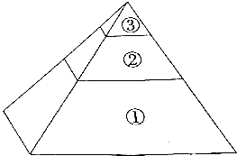 生态金字塔表示的有能量金字塔,数量金字塔,生物量金字塔等.
