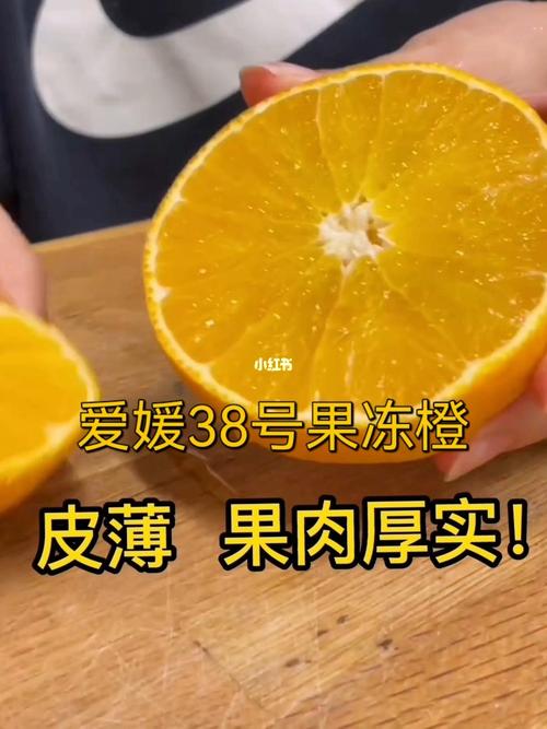 92爱媛果冻橙_果冻_橙子_碧桂园总部大楼攻略_爱媛38号果冻橙_美食