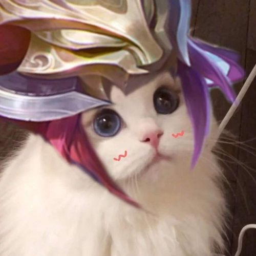 qq头像王者猫猫_猫猫_素材_头像