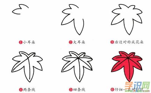 幼儿画画入门枫叶简笔画步骤