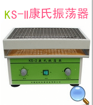 ks型康氏振荡器主要技术性能