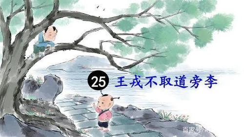 《王戎不取道旁李》教学反思