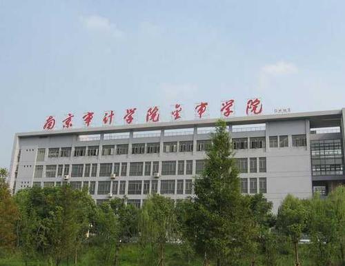 南京审计大学金审学院