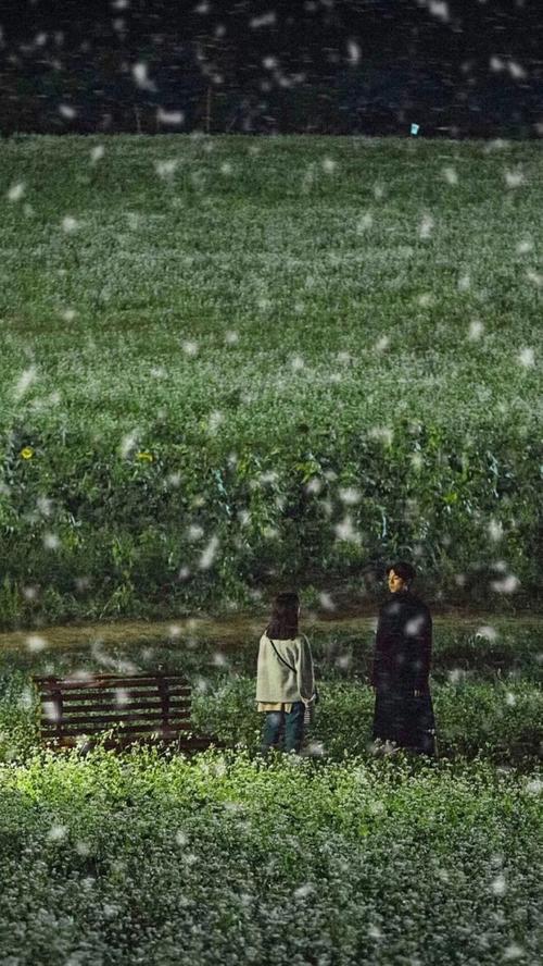 孤独又灿烂的神 鬼怪