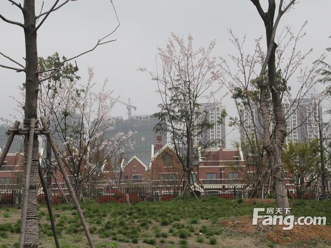 公交,地址,地图,预定,价格,团购,优惠,高速云水湾在哪,怎么走_巢湖