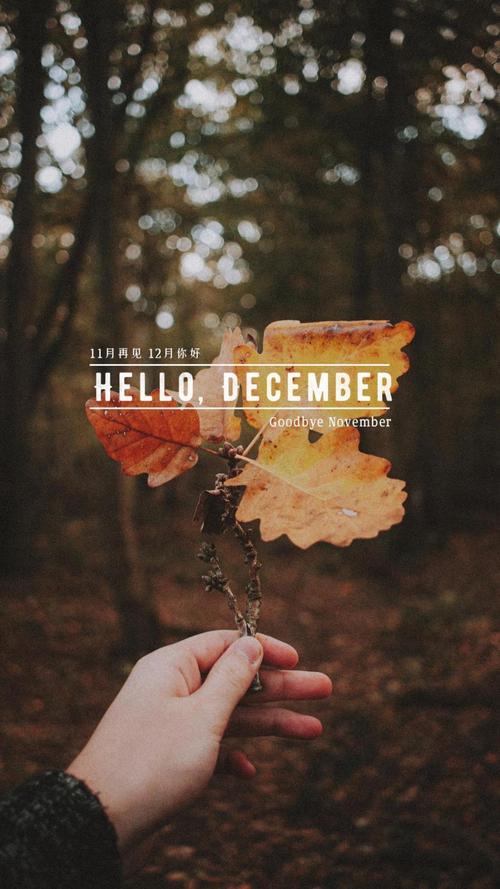 告别11月,迎接12月唯美风景图