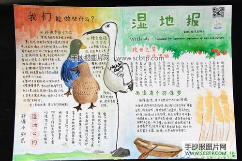 您可能会喜欢: 西溪湿地报杭州西溪湿地绿色环保手抄报