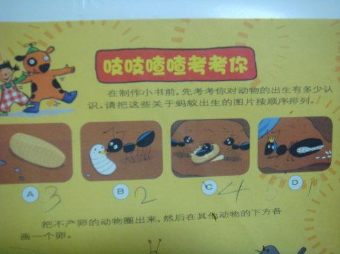 蚂蚁的诞生_同michael一起成长