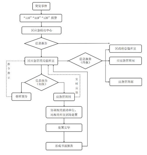 金山区应急管理局突发事件处置流程图