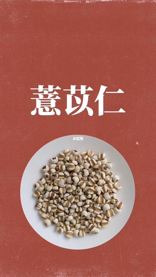 全民学中药:薏苡仁_中药_脾虚_健脾_脚气_风湿_医疗健康_医疗药品