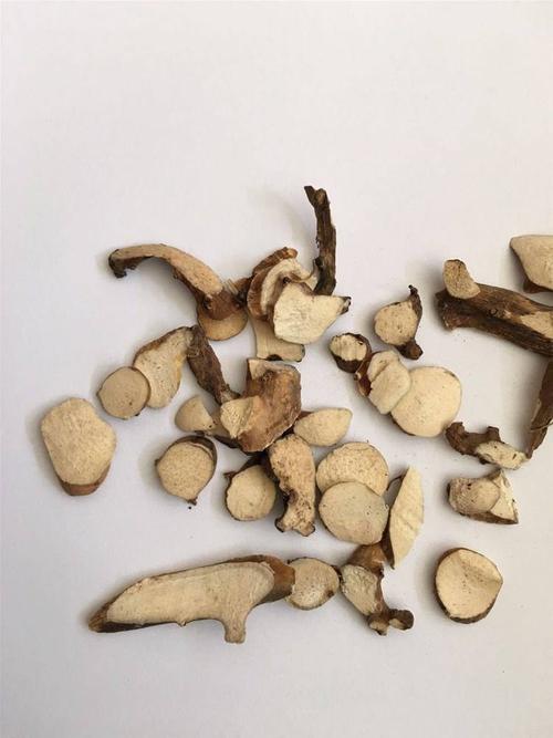 穿地龙泡酒有什么功效 穿地龙泡酒的功效有哪些