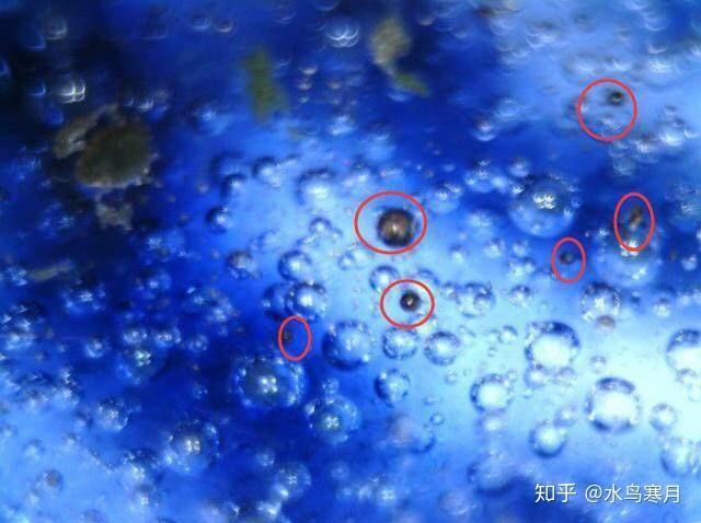 釉中气泡呈黑,褐,棕色,甚至破开等情况都称死亡气泡