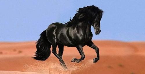 世人只知"马中赤兔",却不知张飞胯下的坐骑,才是天下第一马