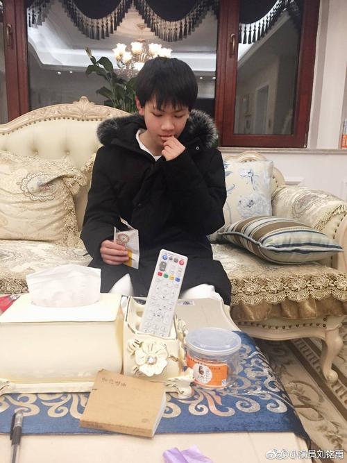 刘铭禹几几年出生的今年几岁他现在的照片组图