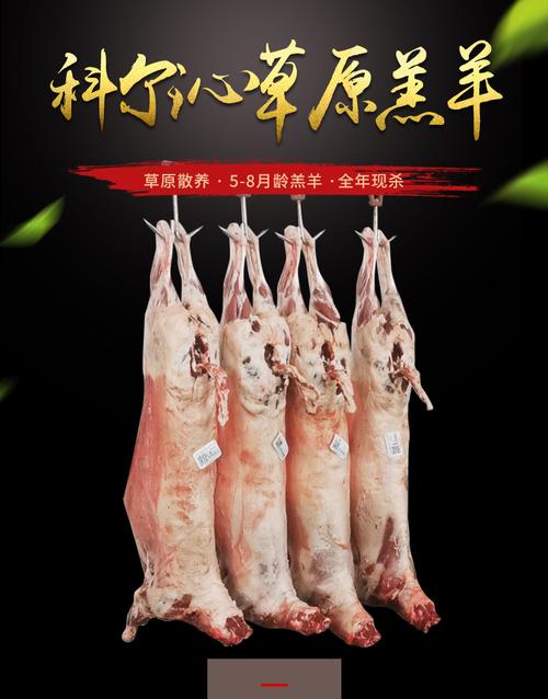排酸羔羊胴体 羊白条全羊整只 去皮羊冷藏冷冻生羊 羊