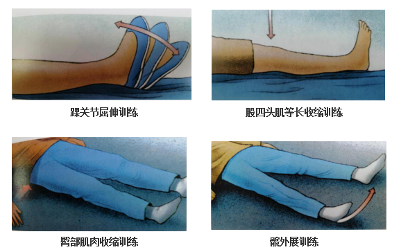 方法:踝关节主动屈伸训练,股四头肌,腘绳肌和臀大肌,臀中肌的等长