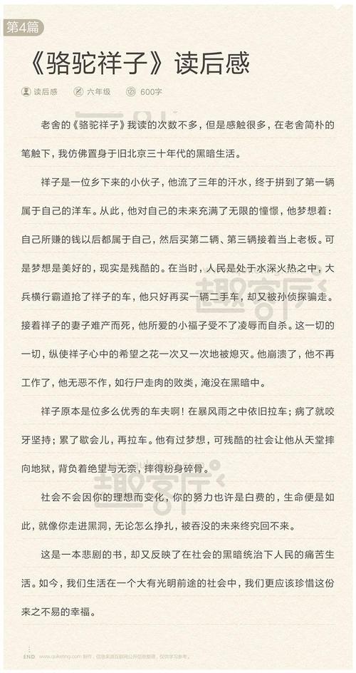《骆驼祥子》读后感 700字作文 初一