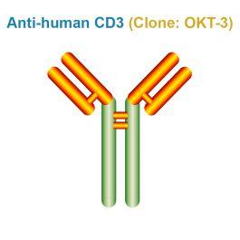 okt3t细胞活化抗人cd3单克隆抗体