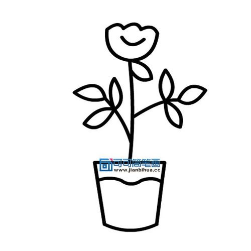 花盆里的花怎么画